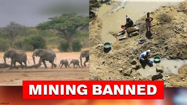 Zimbabwe government bans mining in national parks to protect wildlife Zimbabwe