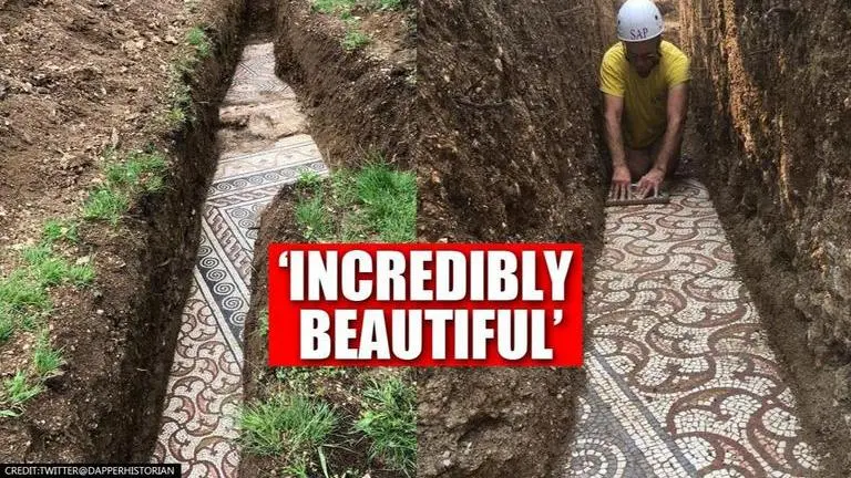 Roman mosaic floor found under a vineyard in northern Italy; See pics Roman