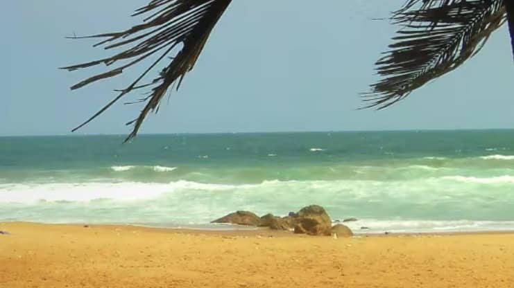 Description of the pic