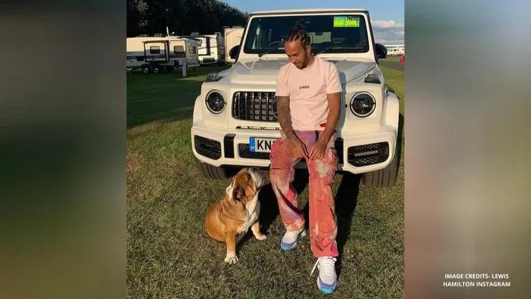 Lewis Hamilton plans to build party pad in garden of his £18m mansion, neighbours object lewis hamilton