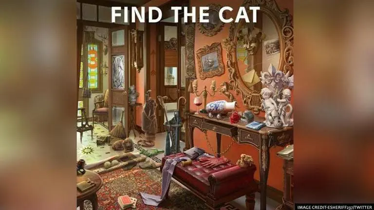 Cat camouflaged in a messy room leaves people baffled. Can you spot it ?