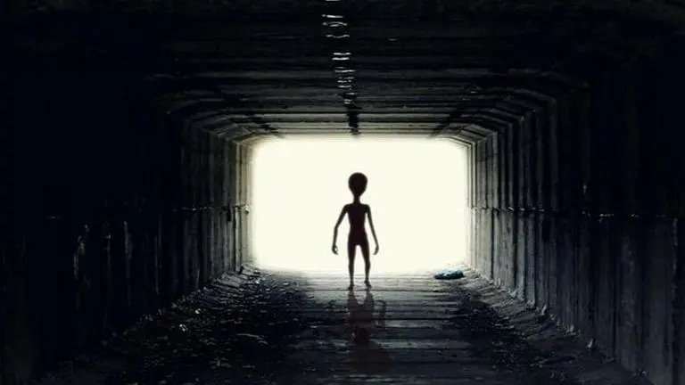 Search of aliens can lead to discovery of space viruses too, claims study Space viruses