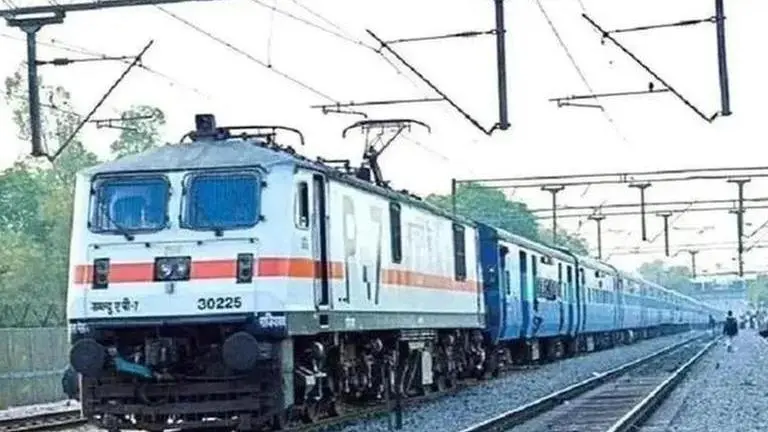 Gujarat: Lion cub dies after being hit by passenger train in Amreli district Gujarat