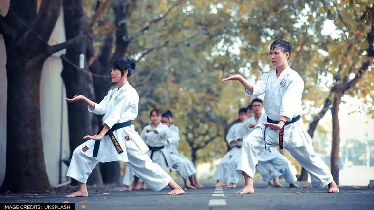 Tamil Nadu, Karate master, Tamil Nadu Karate master
