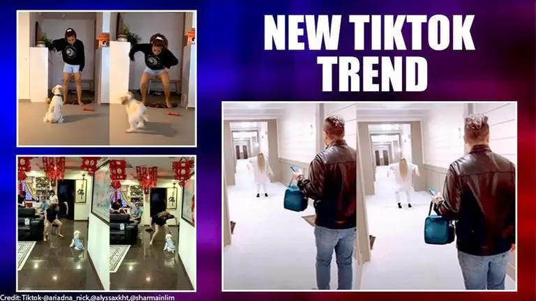 This TikTok trend requires pet owners to playfully scare their dogs; Watch TikTok