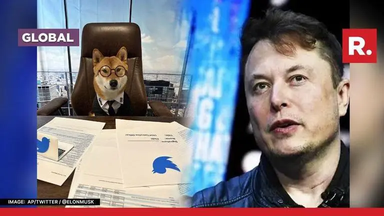 Elon Musk says pet dog Floki will be an 'amazing' Twitter CEO Elon Musk and his dog