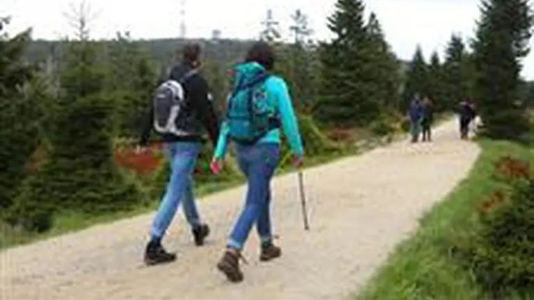 Missing hikers found after 18 days in New Zealand wilderness