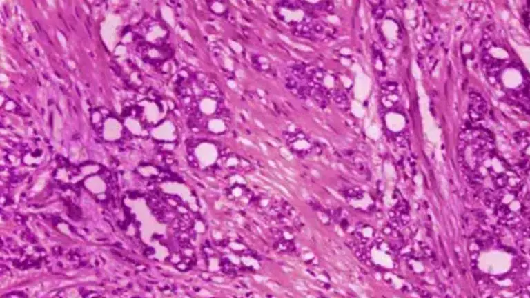 Scientists have found molecule that is behind the origin of life on Earth? Read to know Image: AP