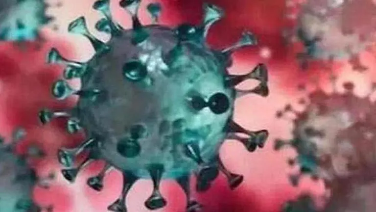 Coronavirus outbreak: Nagpur confirms first case, Maharashtra toll at 11 Maharastra