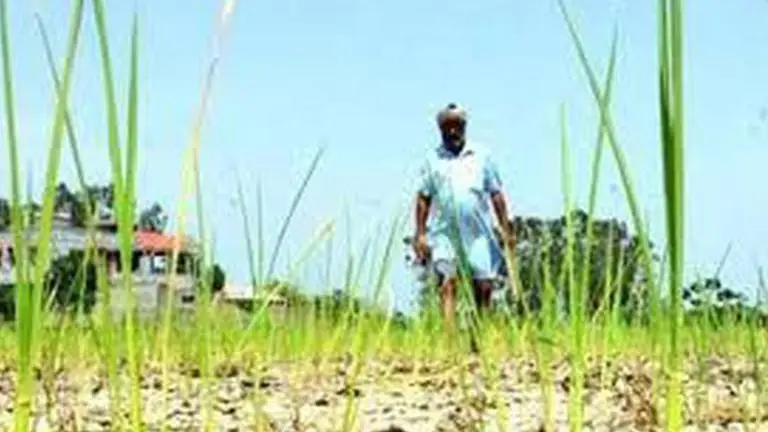 Sena says save farmers at any cost, seeks more aid for them shiv sena