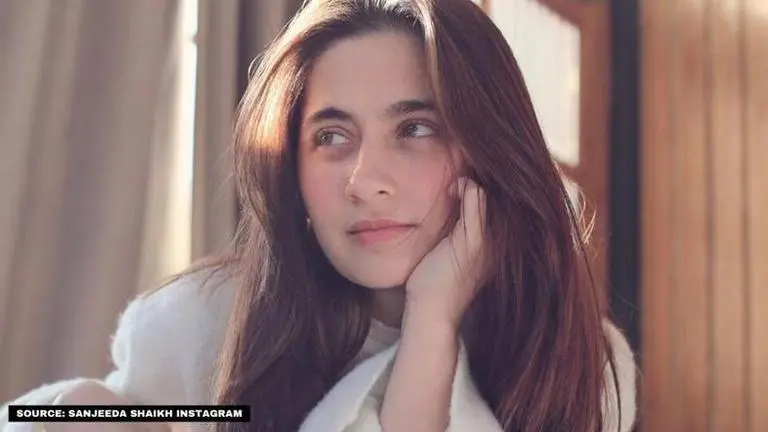 Sanjeeda Shaikh grooves to Beyonce's flirty song amid divorce rumours Sanjeeda Shaikh