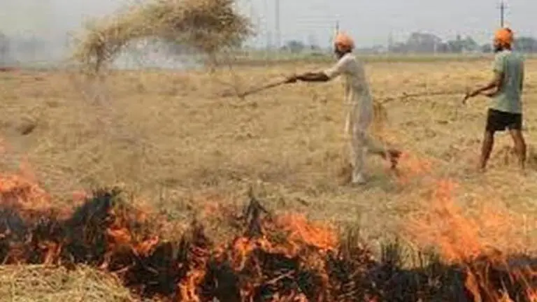 Stop blaming stubble burning, please Lord Indra: BJP leader BJP leader