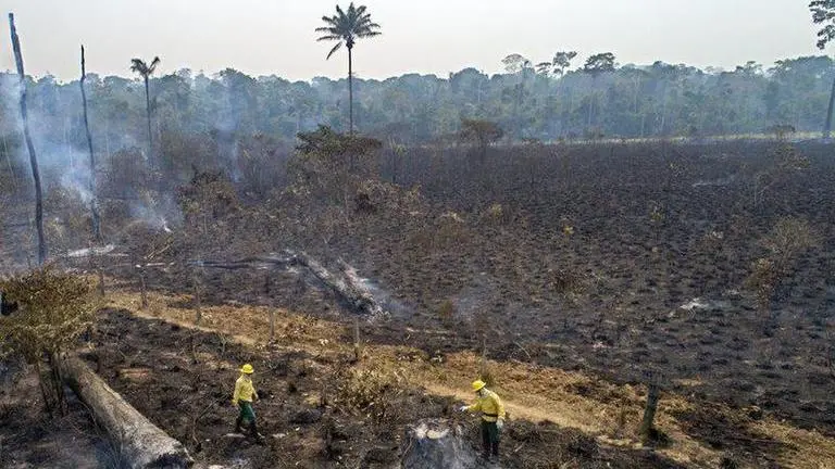 Amazon continues to burn in 2020 despite promises to save it