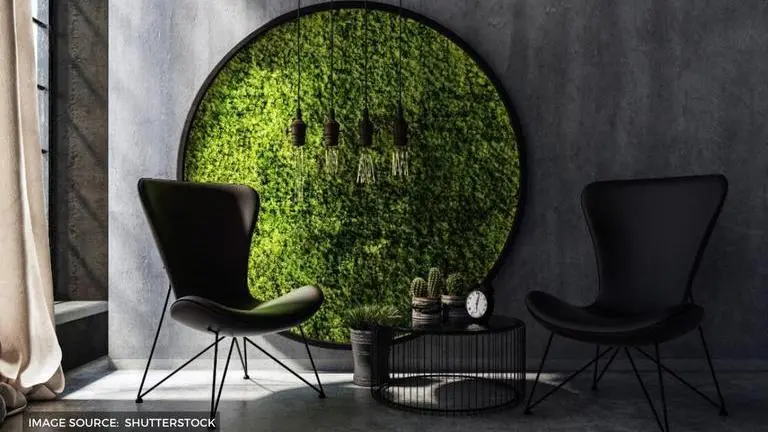 What is a moss frame