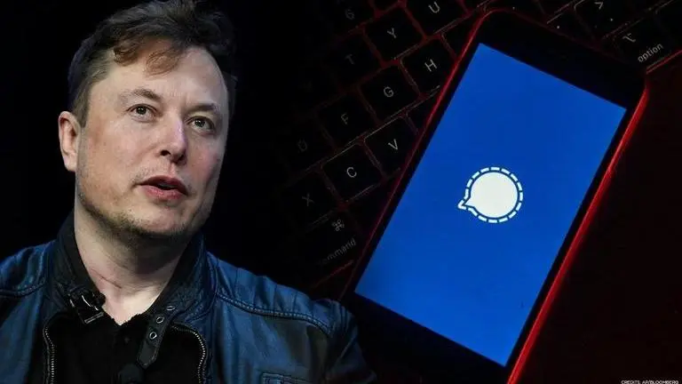 'Use Signal': Elon Musk's app recommendation spikes stocks of tiny medical company elon Musk