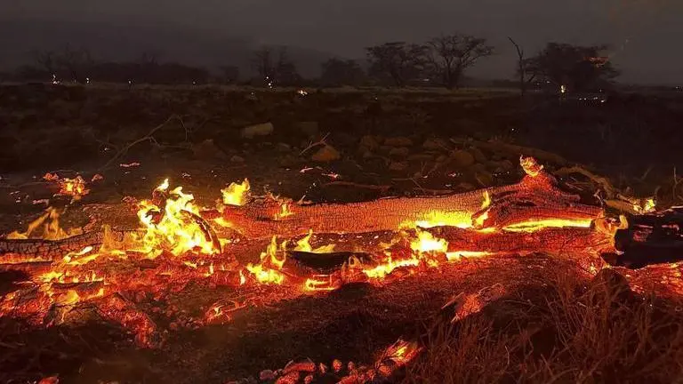 Maui wildfires