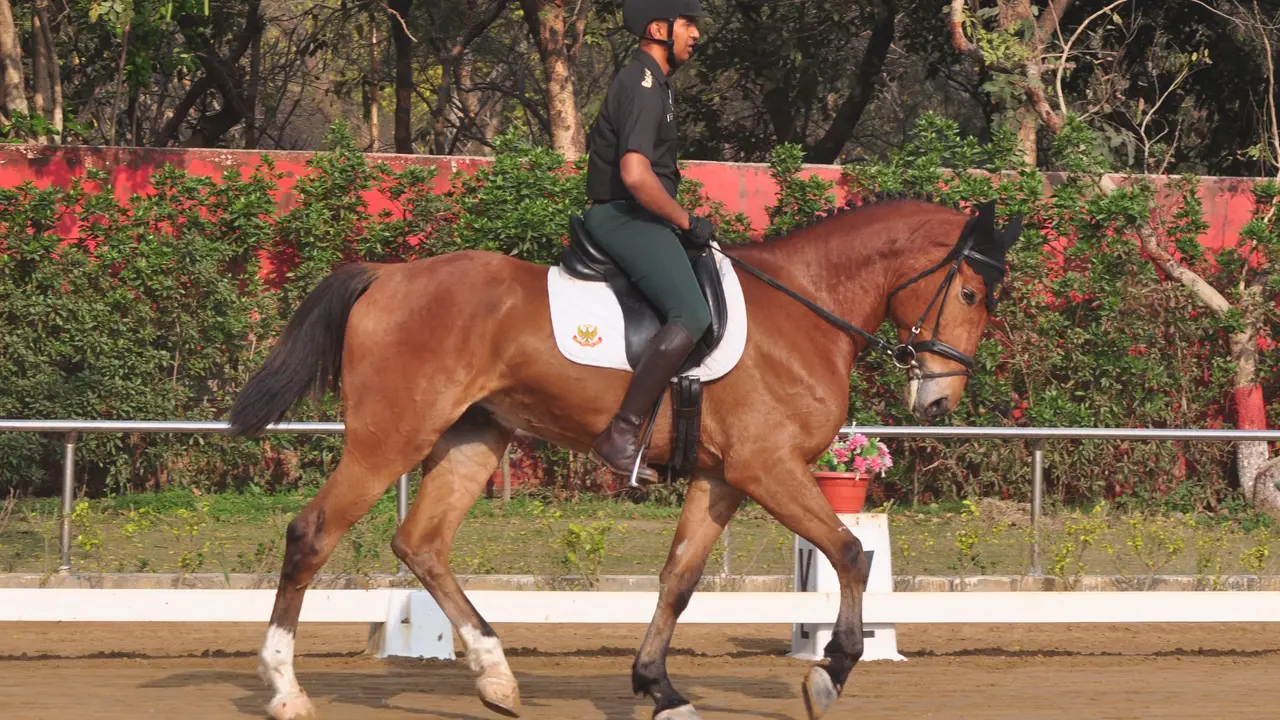 National Equestrian Championship Eventing from March 21 National Equestrian Championship