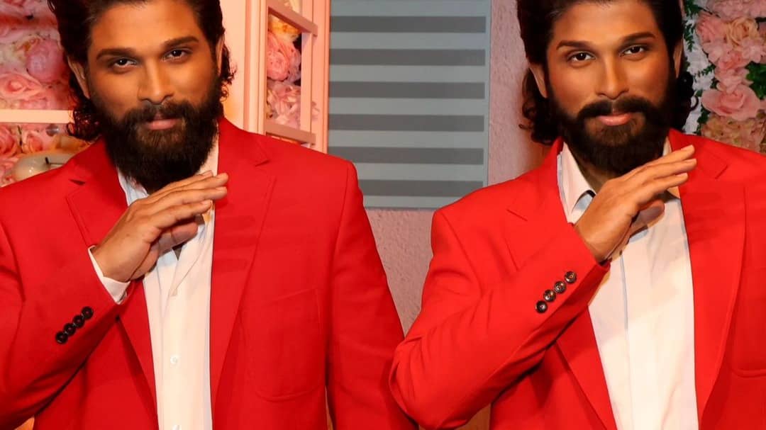 Description of the pic