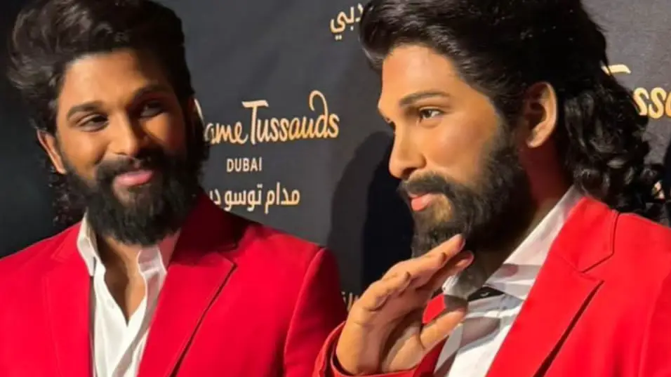 Description of the pic