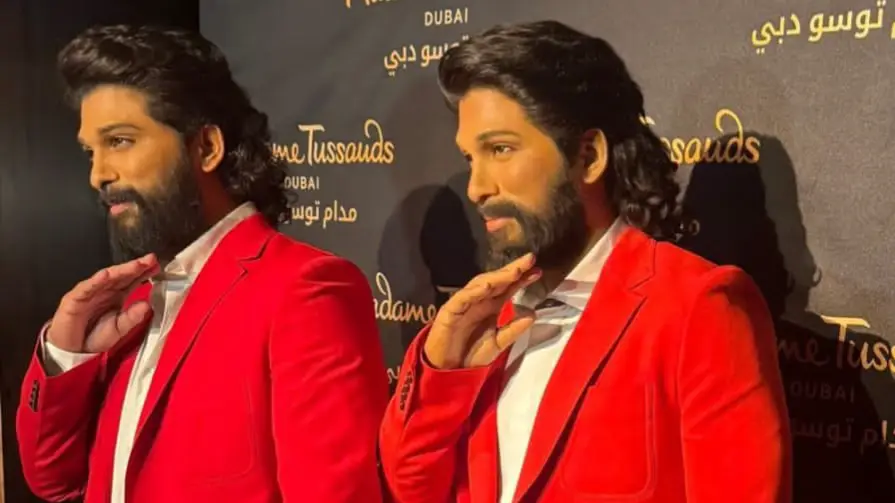 Description of the pic