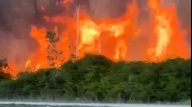 Miami-Dade Engulfed in Massive Bush Fire, Skies Choked with Smoke Miami-Dade Engulfed in Massive Bush Fire, Skies Choked with Smoke