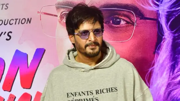 Description of the pic