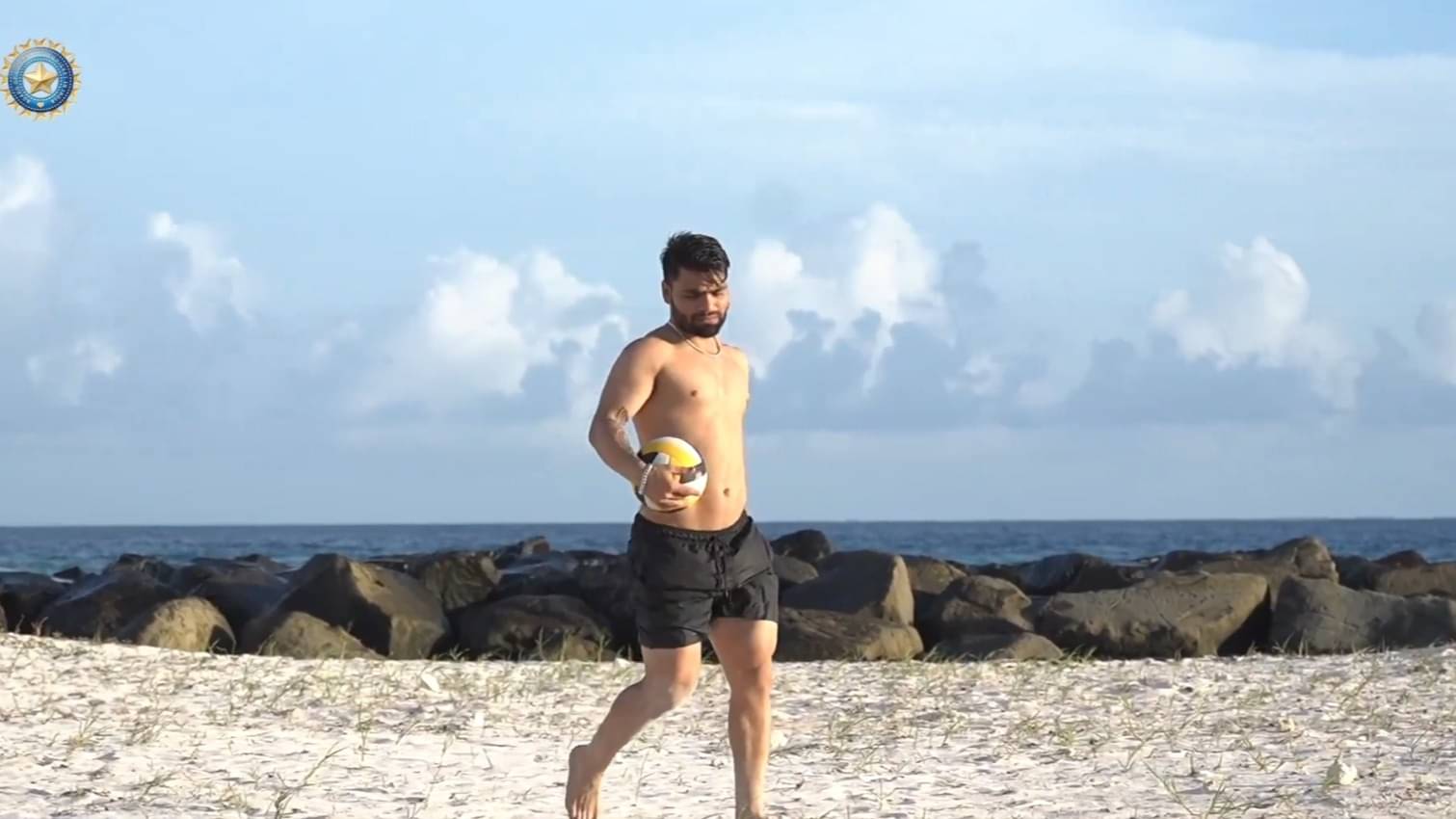 Description of the pic