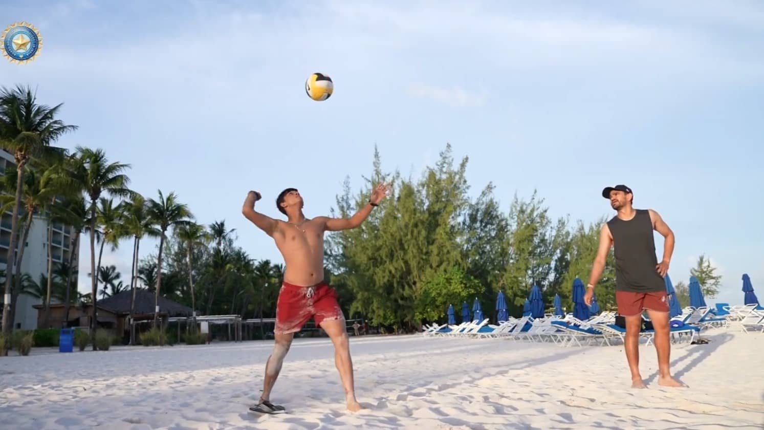 Description of the pic