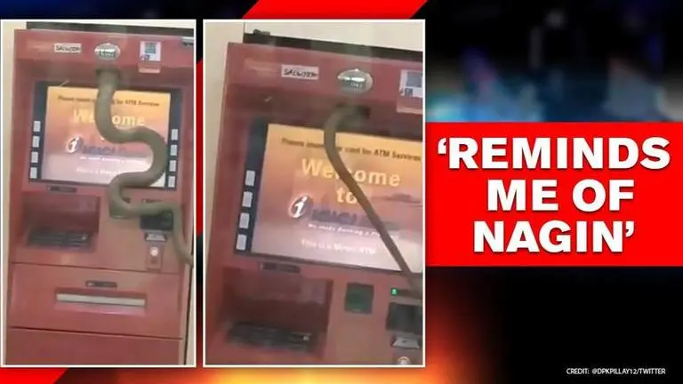 Snake slithers into ATM in Ghaziabad, netizens say it wants 'Hiss-ab' of its money