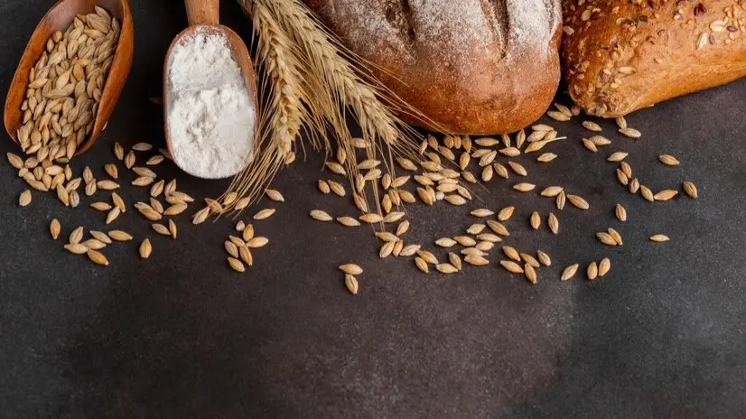 Govt orders mandatory declaration of stock position of wheat Whole Wheat