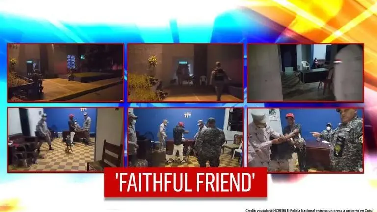 Video: Dog enters police station to check on owner, 'convinces' police to free him Dog enters police station, 'urges' officials to free owner I Watch