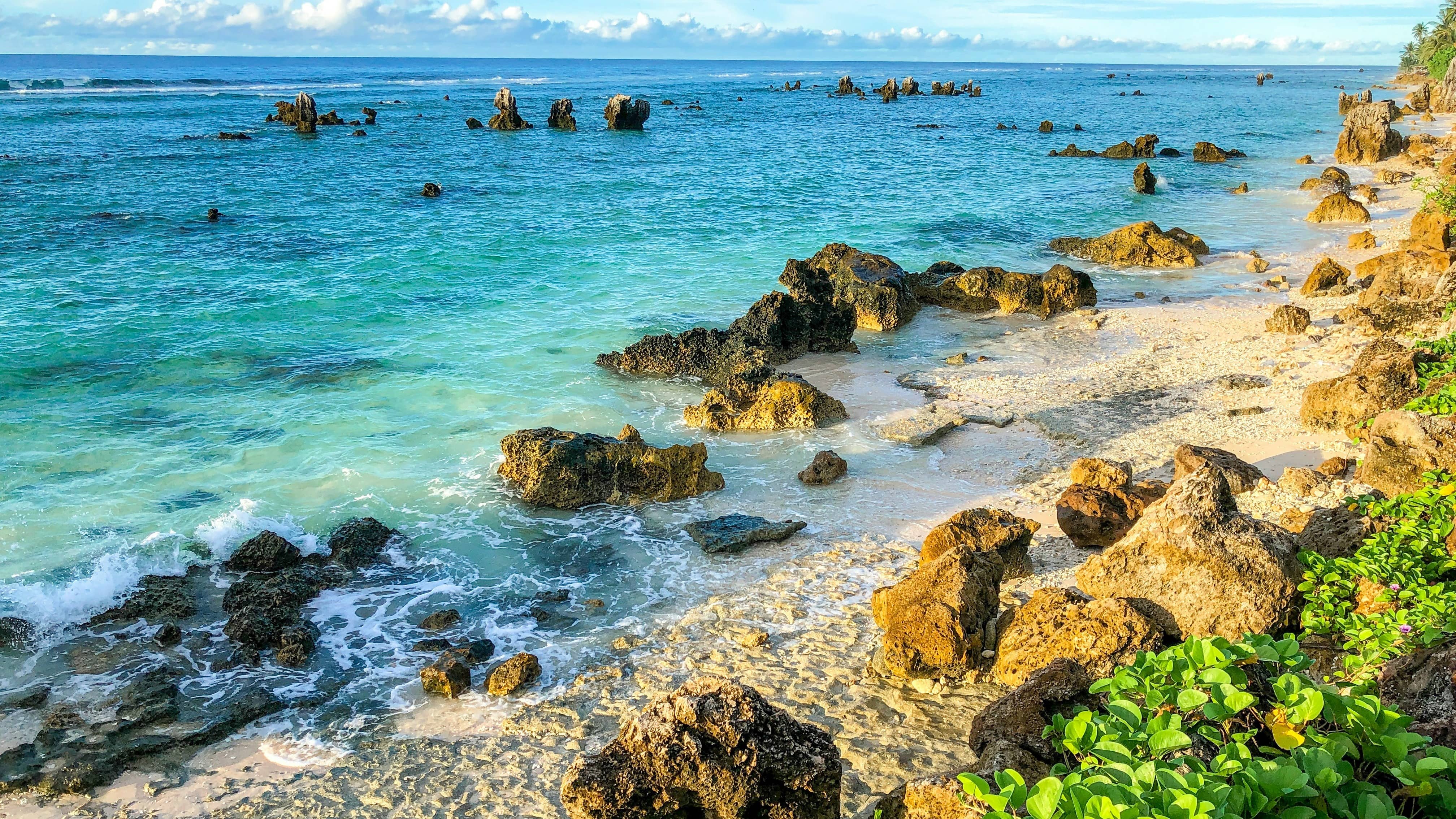 Description of the pic