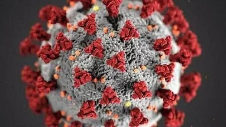 States to earmark hospitals to exclusively treat COVID-19 patients: Health Ministry