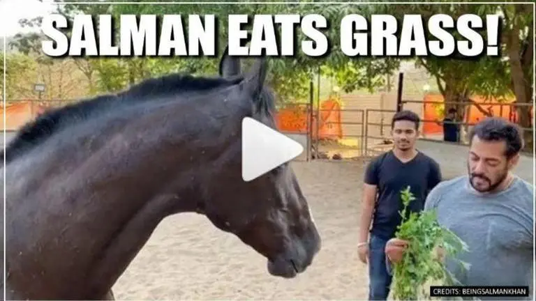Salman Khan eats grass with his horse, calls it 'Breakfast with my love'; JUST WATCH Salman Khan