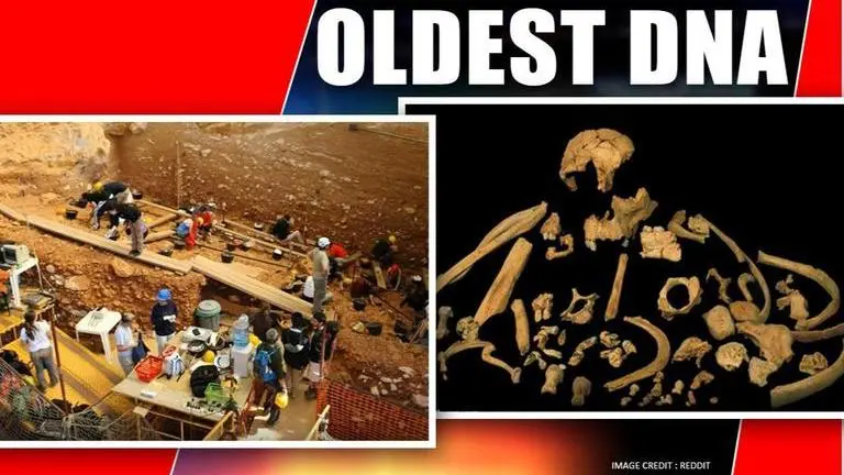 World's oldest DNA discovered in 800,000-year-old cannibal's tooth Oldest DNA discovered in an 800,000-year-old cannibal's tooth, watch
