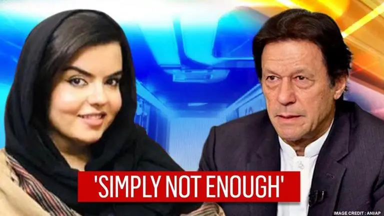 Pakistan unlikely to escape FATF grey list despite lobbying efforts: Afghan MP Pakistan