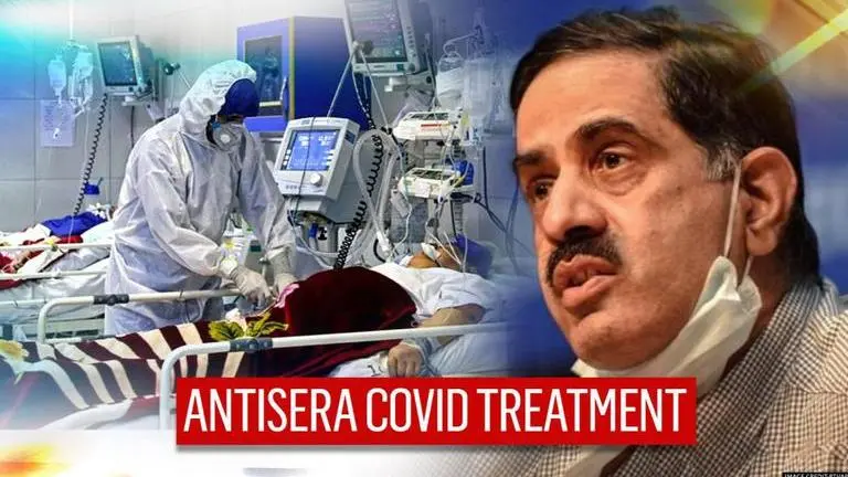 ICMR develops equine-based 'antisera' method to treat COVID-19 as recovery surges COVID-19