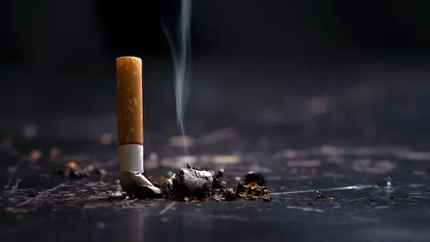 No Smoking Day 2024: Efforts For A Tobacco-Free Future