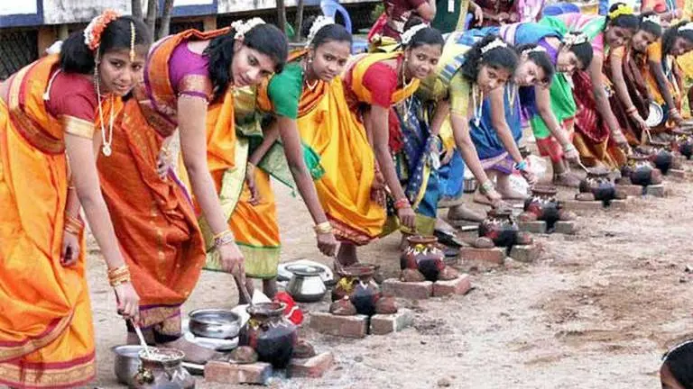 Festivity marks Pongal celebrations in Tamil Nadu, Puducherry Pongal