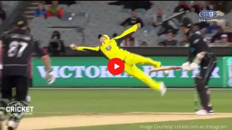 Steve Smith turns 31: Australian star batsman's most acrobatic catches ever; watch video Steve Smith