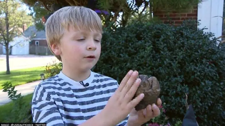 6-yr-old from Michigan discovers 11,000 year old mastodon fossil Michigan