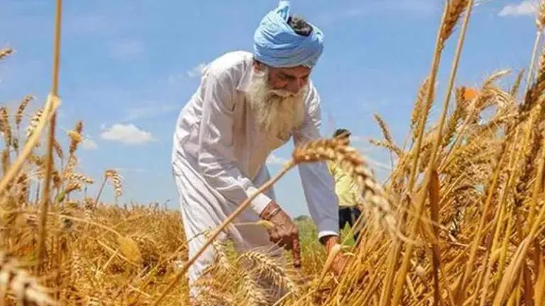 Punjab farmers shifting to sustainable ways of getting rid of crop residue farmers