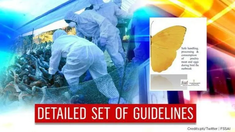 Bird Flu outbreak: FSSAI asks people not to eat half-boiled eggs & other do's and don'ts Bird Flu Outbreak