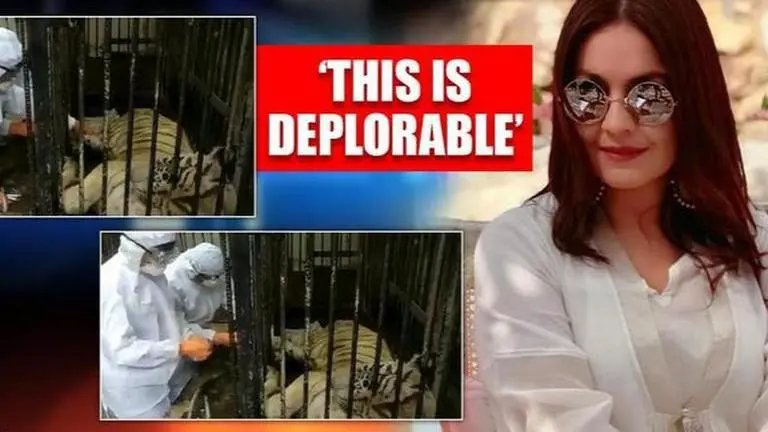 Pooja Bhatt calls death of tigress in Delhi zoo 'tragic', wants zoos to shut down Pooja