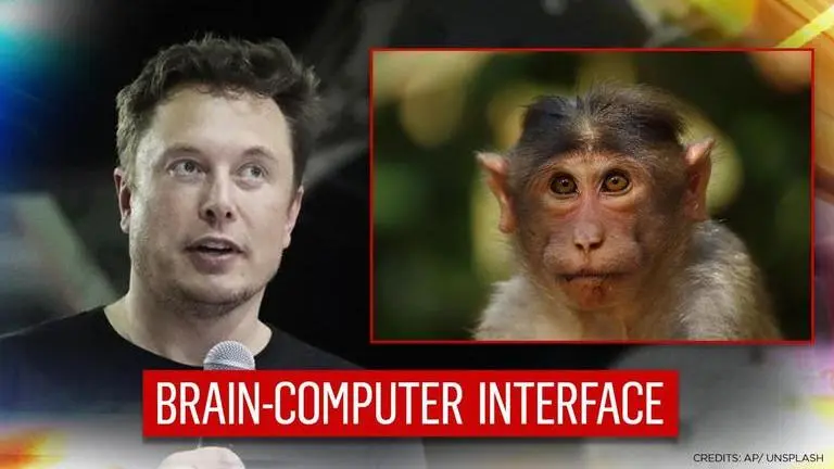 Elon Musk claims he has 'a monkey with brain implant to play video games' Elon Musk