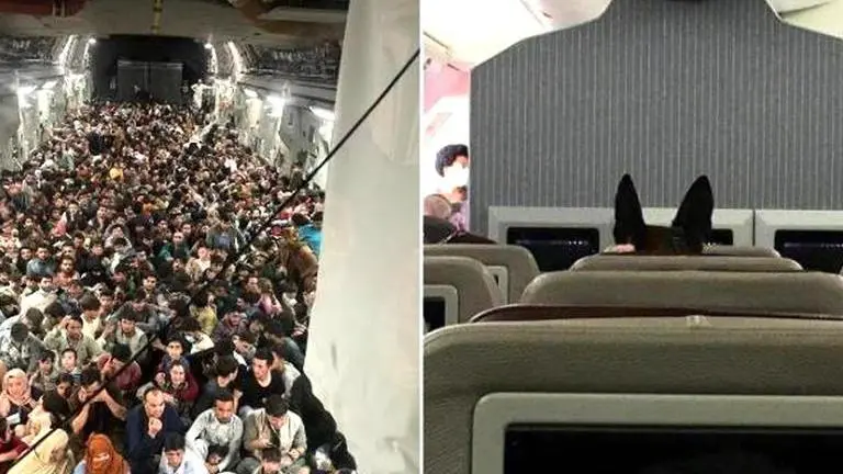Chinese media mocks military dog's reserved seat while Afghans get squeezed into US plane 600 Afghans