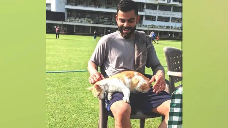 IND vs NZ: Virat Kohli shares paw-some moment ahead of his participation in 2nd Test Virat Kohli