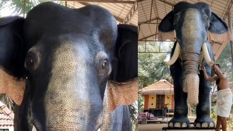 IIrinjadappilly Sri Krishna temple