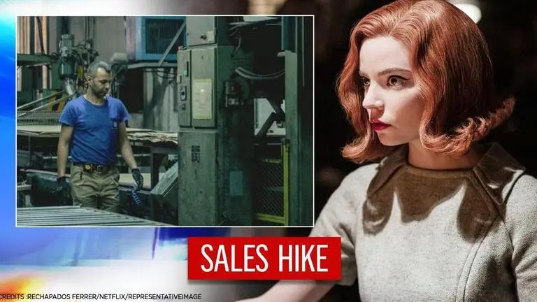 Queen’s Gambit triggers sales of Spanish Chess makers | Read details