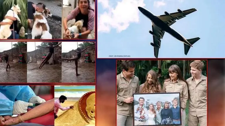 Good News: From pet reunions to Nigerian boy's dance; here are some positive stories Good News: From pet reunions to Nigerian boy's dance.Here are stories to make you happier